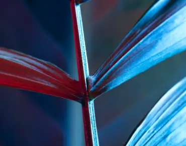 Sustainability - ESG